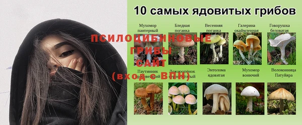 мяу мяу мука Алексеевка