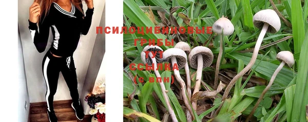 МДПВ Киреевск